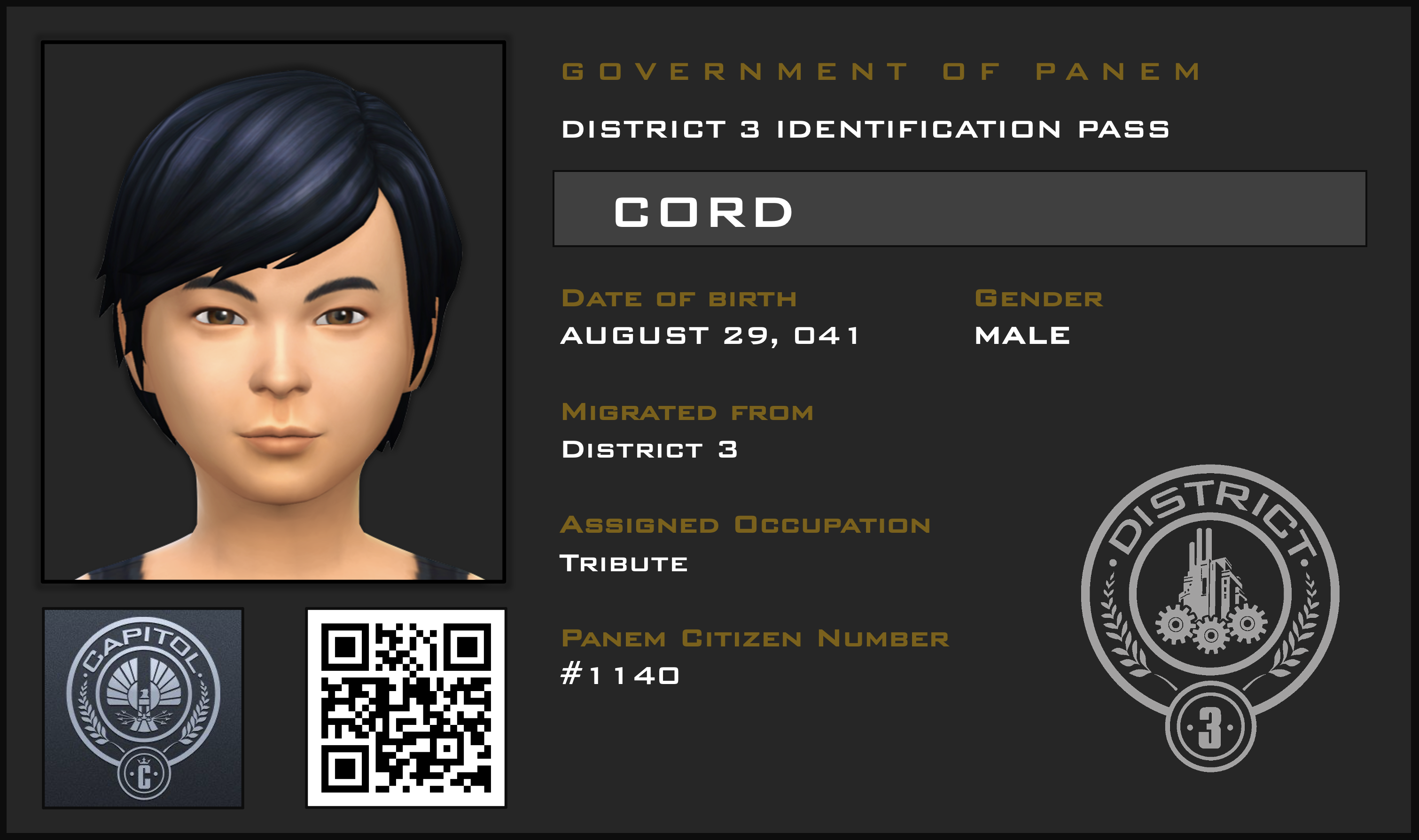 Hunger Games Id Card